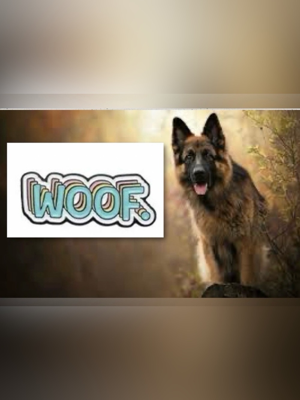 $1 WOOF Enamel pin $1 WITH ANY $10 ORDER OR MORE